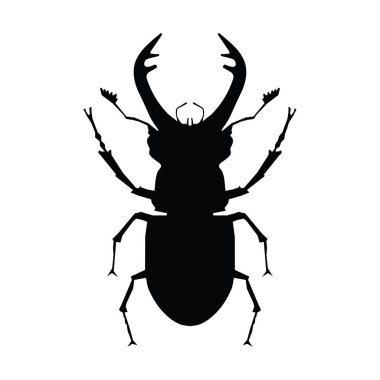 tek böcek silueti, vektör illüstrasyonu