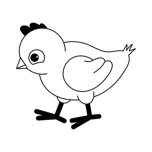 Small Chicken Black White Vector Illustratio — Stock Vector