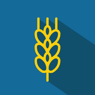 Buğday simgesi, mavi ve sarı, vektör illüstrasyonu