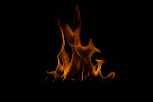 炎は強烈で 黒い背景のスタジオで撃つ — ストック写真