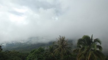 Chiang Mai, Tayland 'da sis perdesi aralandı.