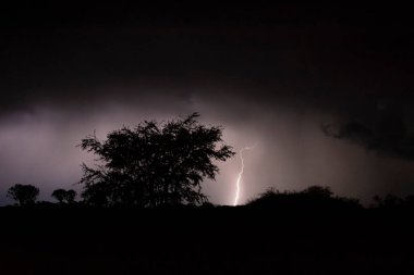 Namibya 'daki Titrek ağaçlar üzerinde gece gök gürültülü fırtına