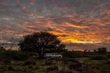 Namibya kampı, kamyonet 4x4 'ün çatısında bir çadır.