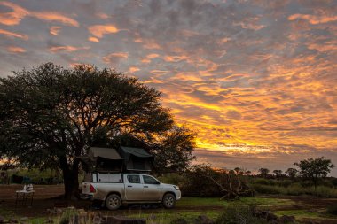 Namibya kampı, kamyonet 4x4 'ün çatısında bir çadır.