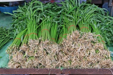 Taze sabah zaferi satmak hem gövde hem de kök satıcıları yerel halka satmak için farklı türde taze sabah zaferi getirecektir..