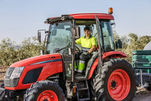 Yetenekli bir çiftçi traktörü Endülüs 'te güzel bir zeytin korusuna sürüyor, tarlalarla aktif olarak ilgileniyor. Verimli manzara ve canlı renkler, yapılan tarım çalışmalarını vurguluyor.