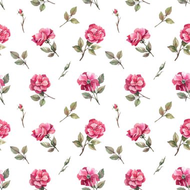 Romantic, floral pattern with roses on a white background. Roses, rose buds leafing through a gentle, floral background. Floral texture for fabrics, textiles, wallpapers.