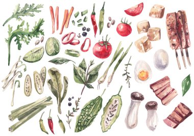 Collection of watercolor illustrations of traditional Asian cuisine ingredients. Greens, vegetables, spices, tofu, meat hand-drawn in watercolor.