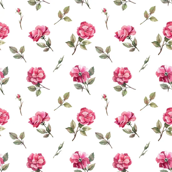 Romantic Floral Pattern Roses White Background Roses Rose Buds Leafing — Stock Photo, Image