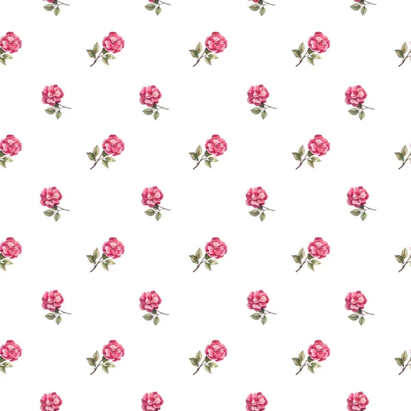 Cute Floral Seamless Pattern Delicate Watercolor Roses White Background Vintage — Stock Photo, Image