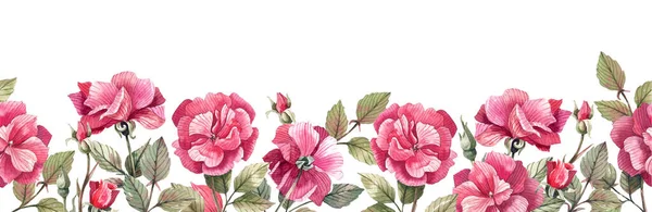 Frontera Horizontal Sin Costuras Con Flores Rosas Brotes Rosa Sobre — Foto de Stock