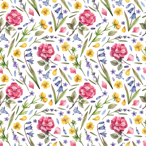 Wild Flowers Seamless Pattern Hand Drawn Floral Illustrations Bright Rustic — Zdjęcie stockowe