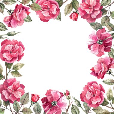 Cute, floral frame with roses and buds on a white background. Romantic, vintage frame with watercolor rose flowers.