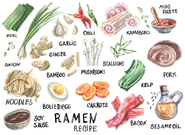 Bright Watercolor Illustration Japanese Traditional Cuisine Ramen Ingredients Description Ramen — Fotografia de Stock