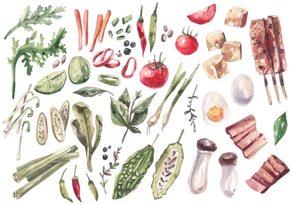 Collection Watercolor Illustrations Traditional Asian Cuisine Ingredients Greens Vegetables Spices — Stockfoto