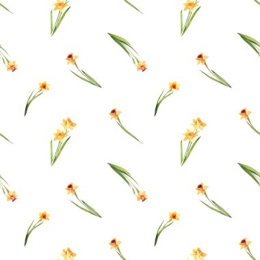 Beyaz arka planda sarı nergis desenli suluboya kusursuz desen. Zarif çiçek arkaplanı. Çocuk tekstili, ambalaj kağıdı..