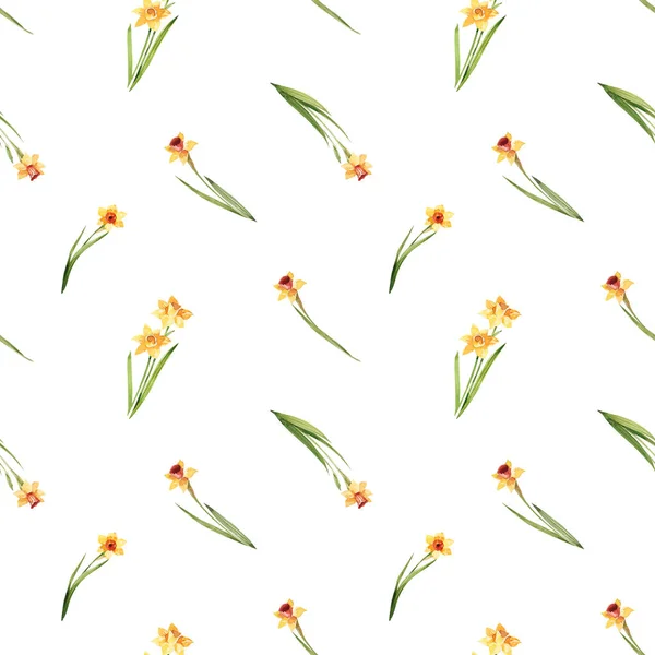 Aquarel Bloemen Naadloos Patroon Met Gele Narcissen Een Witte Achtergrond — Stockfoto