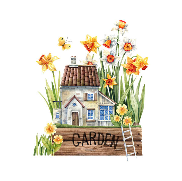 Old rural house in the garden of daffodils and primroses fabulous illustration in vintage style. Watercolor illustration isolated on white background, for decor, scrapbooking, postcards.