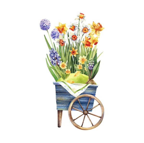 Watercolor Illustration Vintage Garden Cart Full Daffodils Hyacinths Spring Greenery — Stock Photo, Image