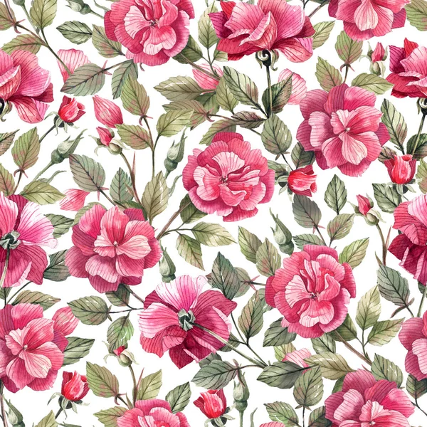 Pink Rose Flowers Watercolor Seamless Pattern Delicate Beautiful Background Interlacing — Stock Photo, Image