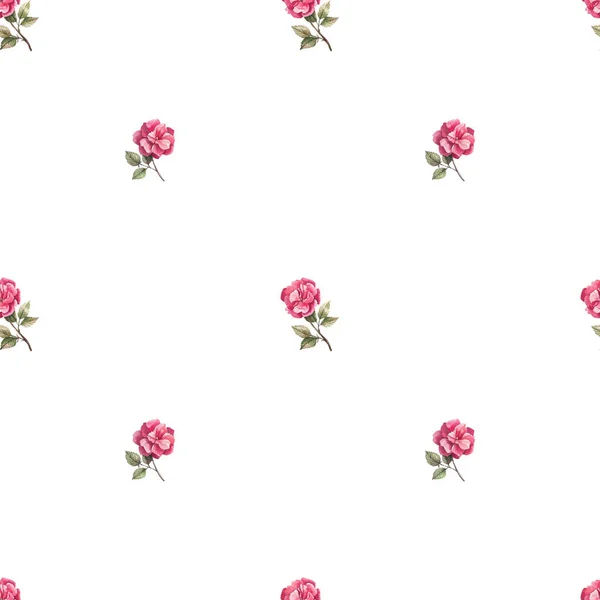 Delicate Roses White Background Watercolor Illustrated Seamless Pattern Cute Floral — Stock Photo, Image