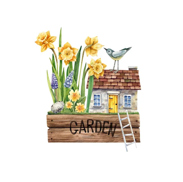 Old rural house in the garden of daffodils and primroses fabulous and bird watercolor illustration. Spring flowers and a fabulous house in a wooden garden box.
