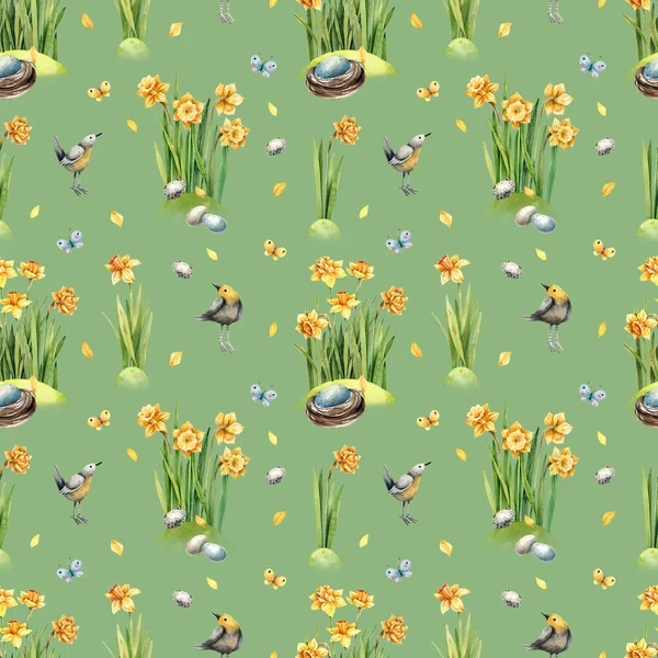 Akwarelowa Ilustracja Bezszwowego Wzoru Wiosennymi Kwiatami Żonkilami Ptakami Jajami Zielonym — Zdjęcie stockowe