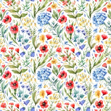 Suluboya, çiçek deseni, beyaz arka planda yabani çiçekler. Yabani çiçekler, gelincikler, ortanca, yabani karanfil, eschscholzia, menekşeler dikişsiz desen.