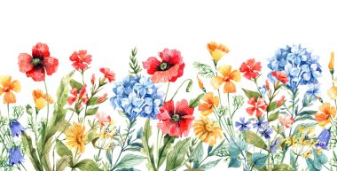 Sulu boyalı yabani çiçeklerle kusursuz bir sınır. Gelincikler, çan çiçekleri, ortancalar, karanfiller, eschscholzia - kusursuz yatay arkaplan.