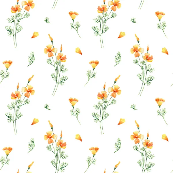 Padrão Sem Costura Floral Com Mão Desenhada Aquarela Eschscholzia Flores — Fotografia de Stock