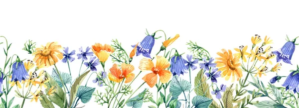 Wildbloemen Naadloze Rand Met Bluebell Madeliefje Violette Bloemen Witte Achtergrond — Stockfoto