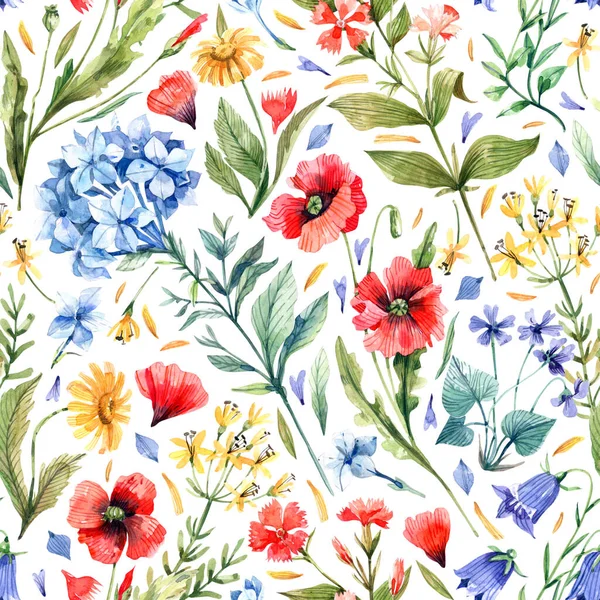 Summer, wild flowers on a white background watercolor, seamless pattern. Poppies, carnations, bluebells, daisies and other flowers hand-drawn in watercolor.