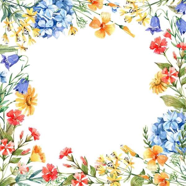 Aquarell Blumenrahmen Mit Blüten Von Wilder Nelke Blauglocke Hortensie Eschlolzien — Stockfoto