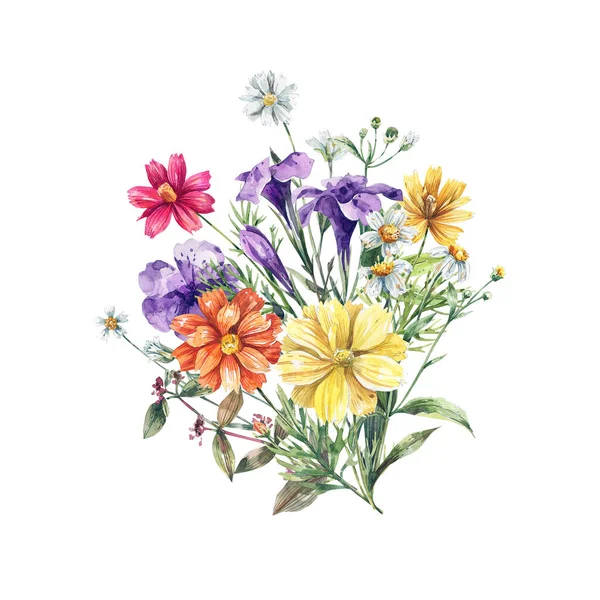 Ilustración Acuarela Estilo Botánico Con Flores Silvestres Ramo Flores Aisladas — Foto de Stock