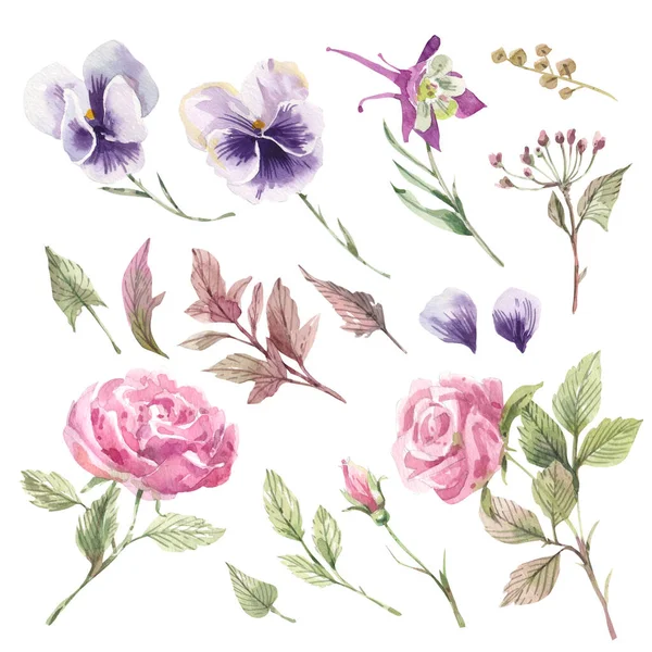 Verzameling Van Aquarelillustraties Van Bloemen Rozen Viooltjes Tuinkruiden Bloemen Illustratie — Stockfoto