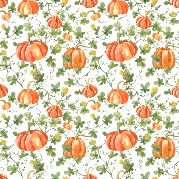 Wzór Bezszwowy Akwarela Pomarańczowymi Dyniami Białym Tle Rolniczy Ogród Warzywny — Zdjęcie stockowe