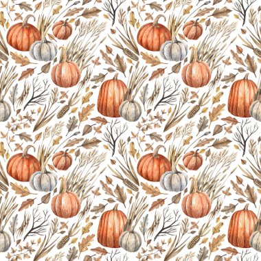 Beyaz arka planda balkabakları ve kuru otlarla sulu boya deseni.