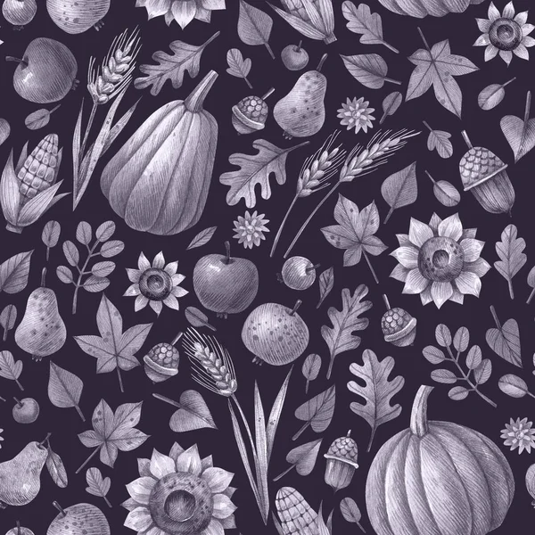 Schwarz Weißes Herbstmuster Mit Kürbissen Herbstblättern Sonnenblumen Erntefrüchten Auf Weißem — Stockfoto