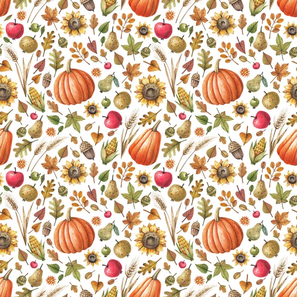 Jesienny Bezszwowy Wzór Dyniami Jesiennymi Liśćmi Słonecznikami Owocami Zbiorów Białym — Zdjęcie stockowe