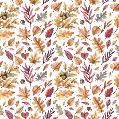Sonbahar yaprakları, böğürtlen ve meşe palamudu beyaz arka planda, dikişsiz suluboya deseni.