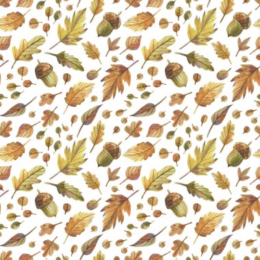 Sonbahar beyaz arka planda pürüzsüz bir iz bırakır. Meşe, kavak yaprağı, meşe palamudu elle çizilmiş arka plan.