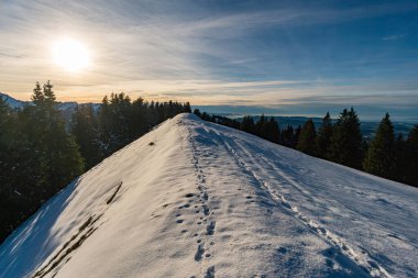Güzel Allgau Alpleri 'ndeki Oberstaufen yakınlarındaki Tahlkirchdorf' tan Denneberg 'e harika bir kış yürüyüşü.