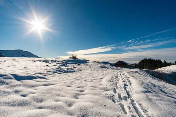 stock image Fantastic winter hike to the Denneberg on the Nagelfluhkette from Tahlkirchdorf near Oberstaufen in the beautiful Allgau Alps