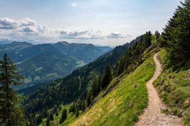 Gunzesried 'den Steineberg' e kadar Allgau 'daki Nagelfluhkette' de güzel bir bahar yürüyüşü.