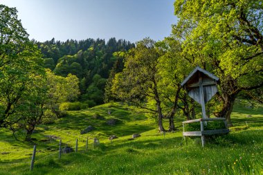 Gunzesried 'den Steineberg' e kadar Allgau 'daki Nagelfluhkette' de güzel bir bahar yürüyüşü.