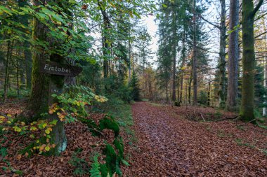 Güzel Eistobel sonbahar yürüyüşü Laubenberg ve Kapf üzerinde Isny im Allgau yakınlarında