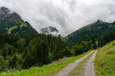 Schoppernau 'dan Vorarlberg Avusturya' daki Tobermann zirvesine harika bir dağ turu.