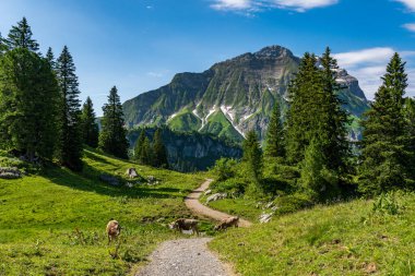 Vorarlberg 'deki Lechquellen Dağları' ndaki Koerbersee 'ye güzel bir yürüyüş - Warth-Schroecken - Bregenzerwald