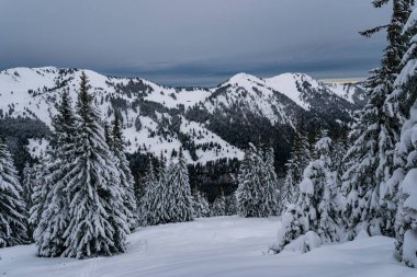 Allgau Alplerindeki Nagelfluhkette 'de Tennenmooskopf' a zorlu bir kar ayakkabısı turu.