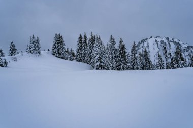 Allgau Alplerindeki Nagelfluhkette 'de Tennenmooskopf' a zorlu bir kar ayakkabısı turu.